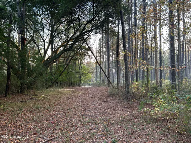 $350,000 | 4024 Old Mill Road, Osyka, MS 39657