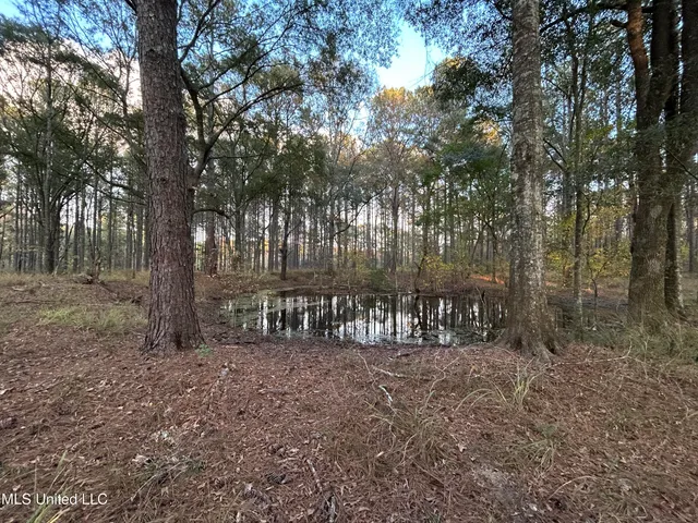 $350,000 | 4024 Old Mill Road, Osyka, MS 39657
