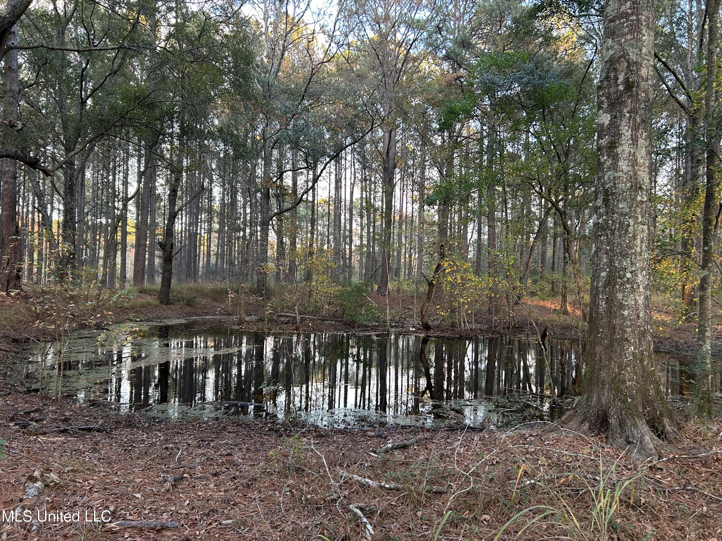 4024 Old Mill Road Osyka, MS 39657 - Photo 6 of 76 IMG_1125