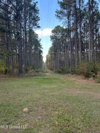 $350,000 | 4024 Old Mill Road, Osyka, MS 39657