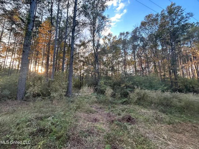 $350,000 | 4024 Old Mill Road, Osyka, MS 39657