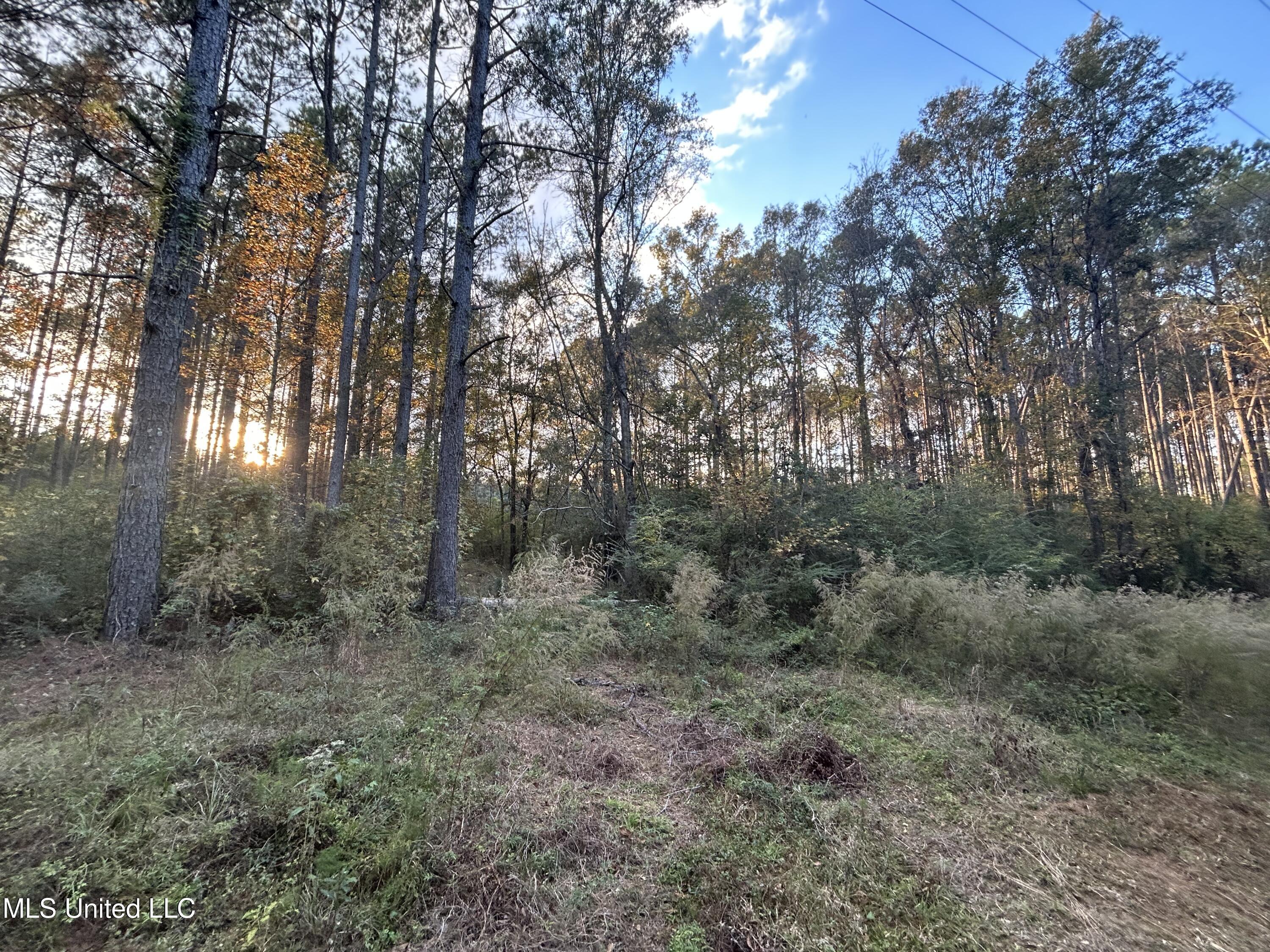 4024 Old Mill Road Osyka, MS 39657 - Photo 7 of 76 IMG_1033