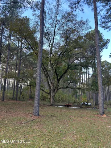 $350,000 | 4024 Old Mill Road, Osyka, MS 39657