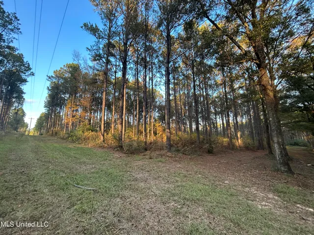 $350,000 | 4024 Old Mill Road, Osyka, MS 39657
