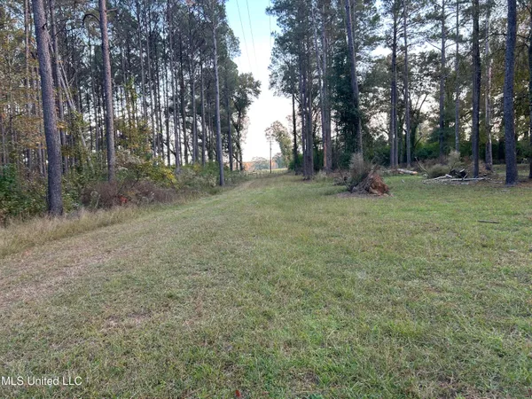 $350,000 | 4024 Old Mill Road, Osyka, MS 39657