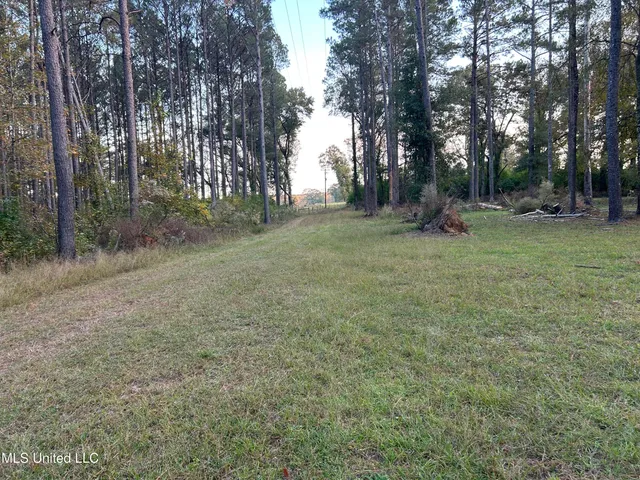 $350,000 | 4024 Old Mill Road, Osyka, MS 39657