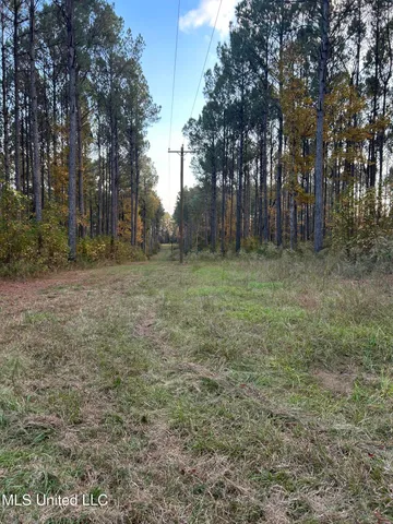 $350,000 | 4024 Old Mill Road, Osyka, MS 39657