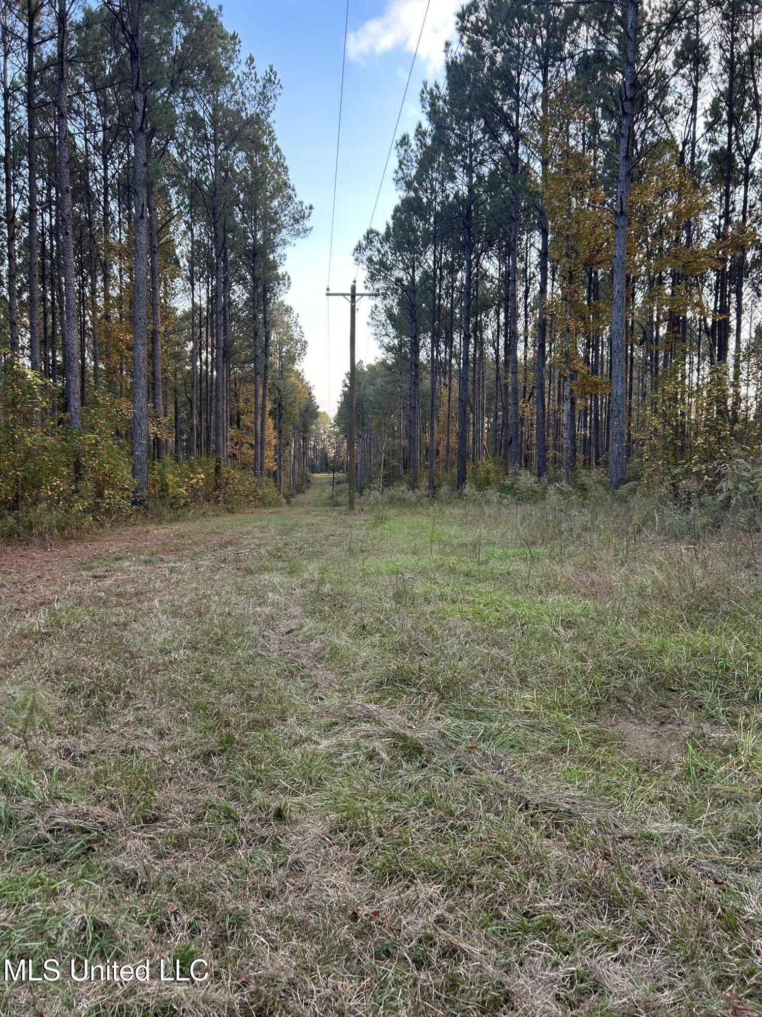 4024 Old Mill Road Osyka, MS 39657 - Photo 74 of 76 IMG_1048