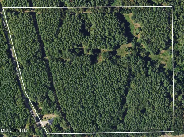 $350,000 | 4024 Old Mill Road, Osyka, MS 39657