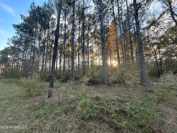 $350,000 | 4024 Old Mill Road, Osyka, MS 39657