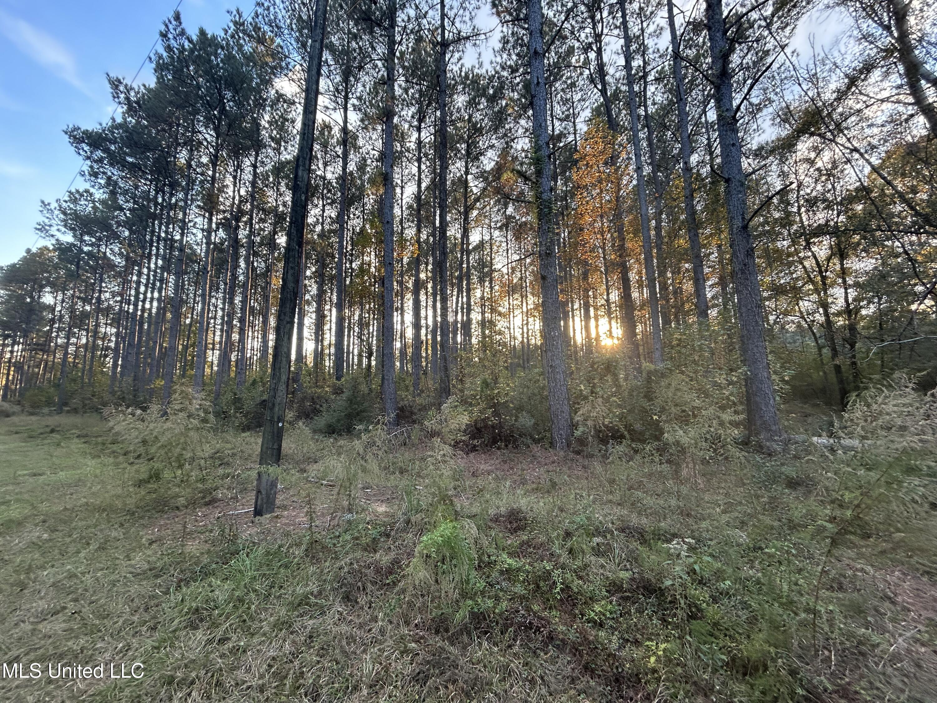 4024 Old Mill Road Osyka, MS 39657 - Photo 8 of 76 IMG_1034