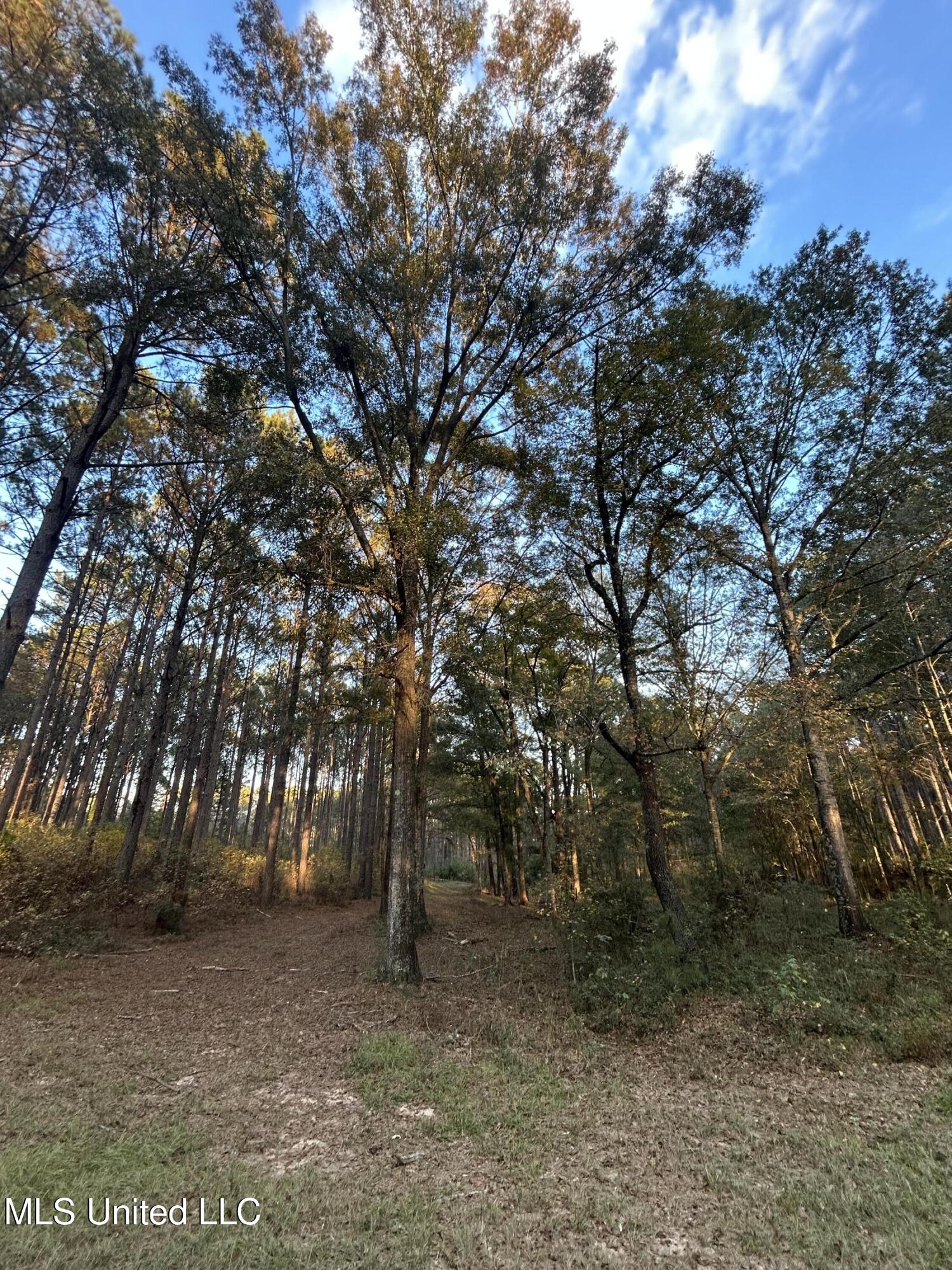 4024 Old Mill Road Osyka, MS 39657 - Photo 9 of 76 IMG_1037