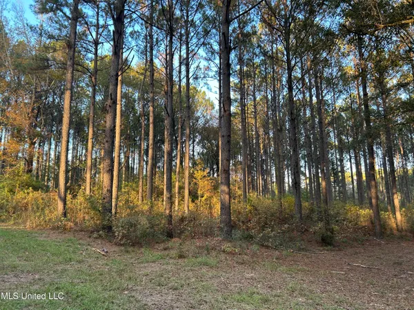 $350,000 | 4024 Old Mill Road, Osyka, MS 39657