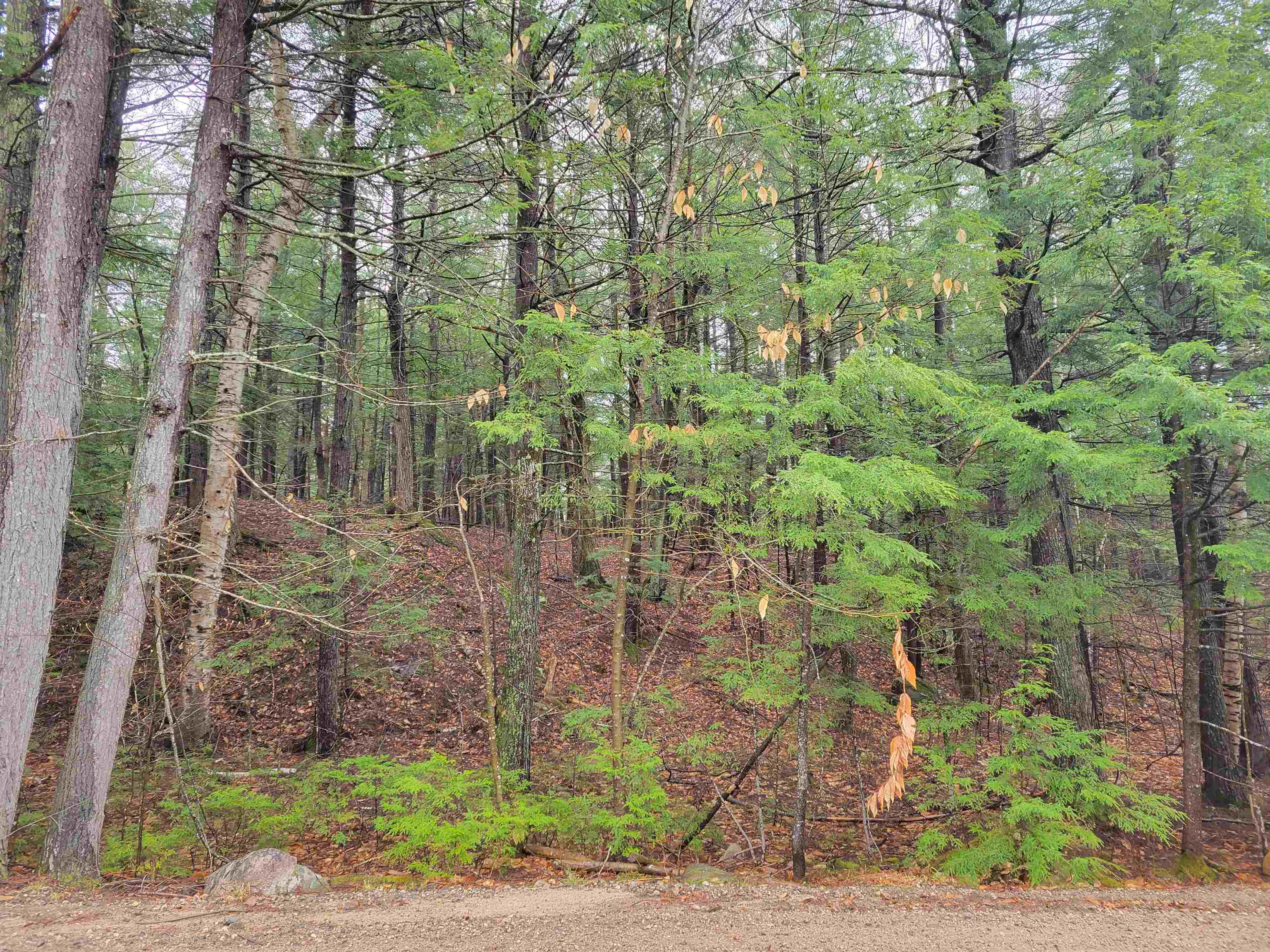 0 Granger Road Denmark, ME 04022 - Photo 1 of 3
