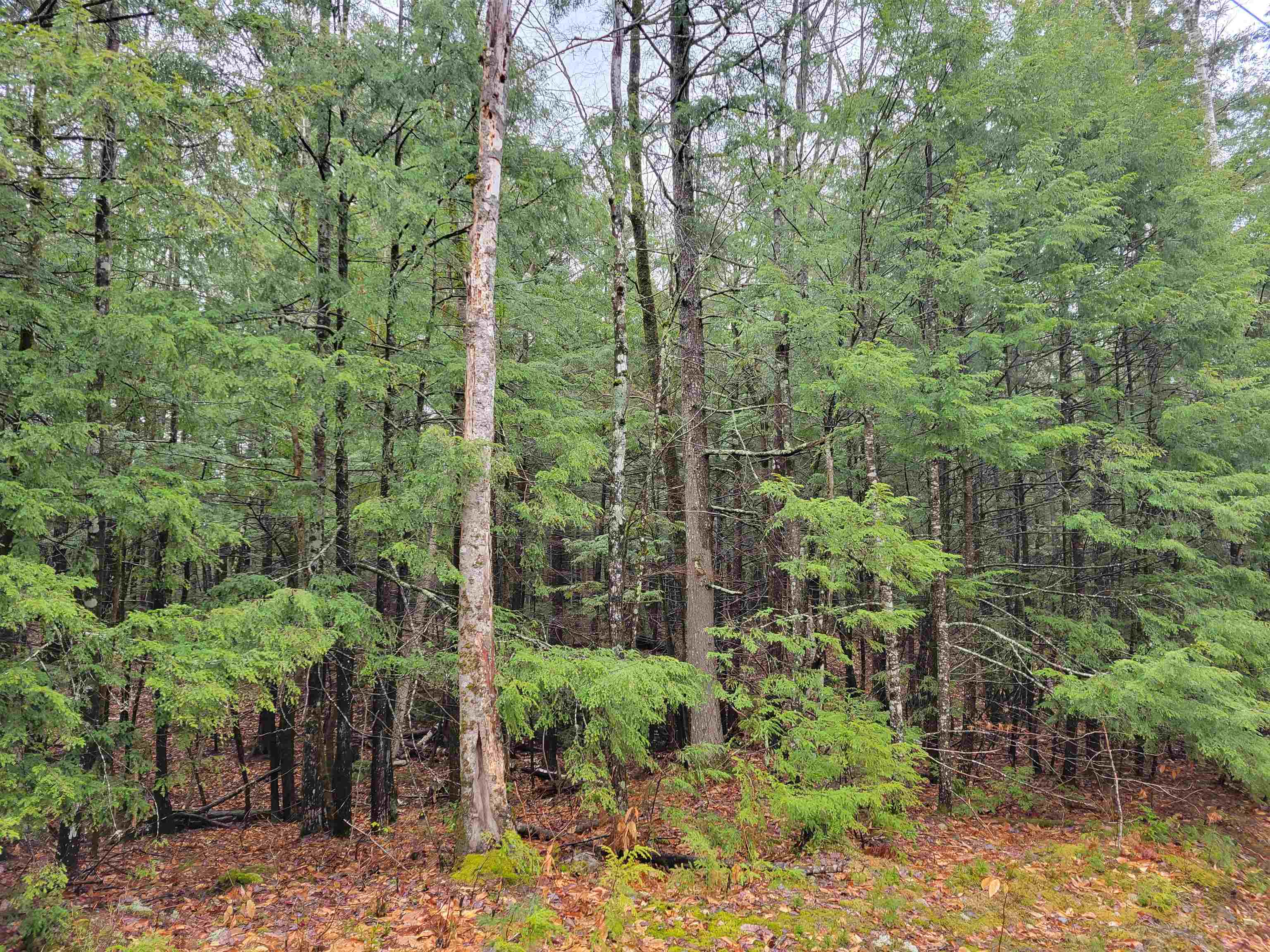 0 Granger Road Denmark, ME 04022 - Photo 2 of 3