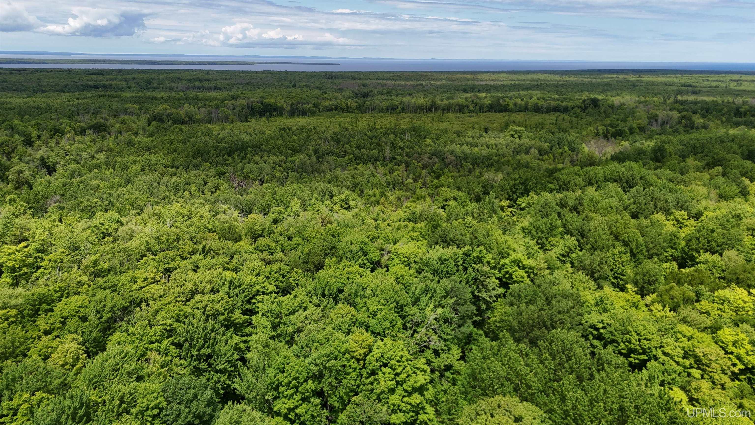 Tbd20 Skanee Road Skanee, MI 49962 - Photo 3 of 26