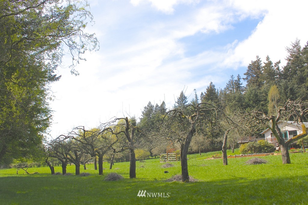 850 Point Lawrence Road Orcas Island, WA 98279 - Photo 2 of 24 Gallery Image 2