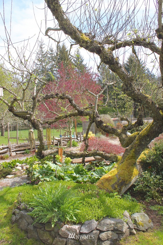 850 Point Lawrence Road Orcas Island, WA 98279 - Photo 12 of 24 Gallery Image 12