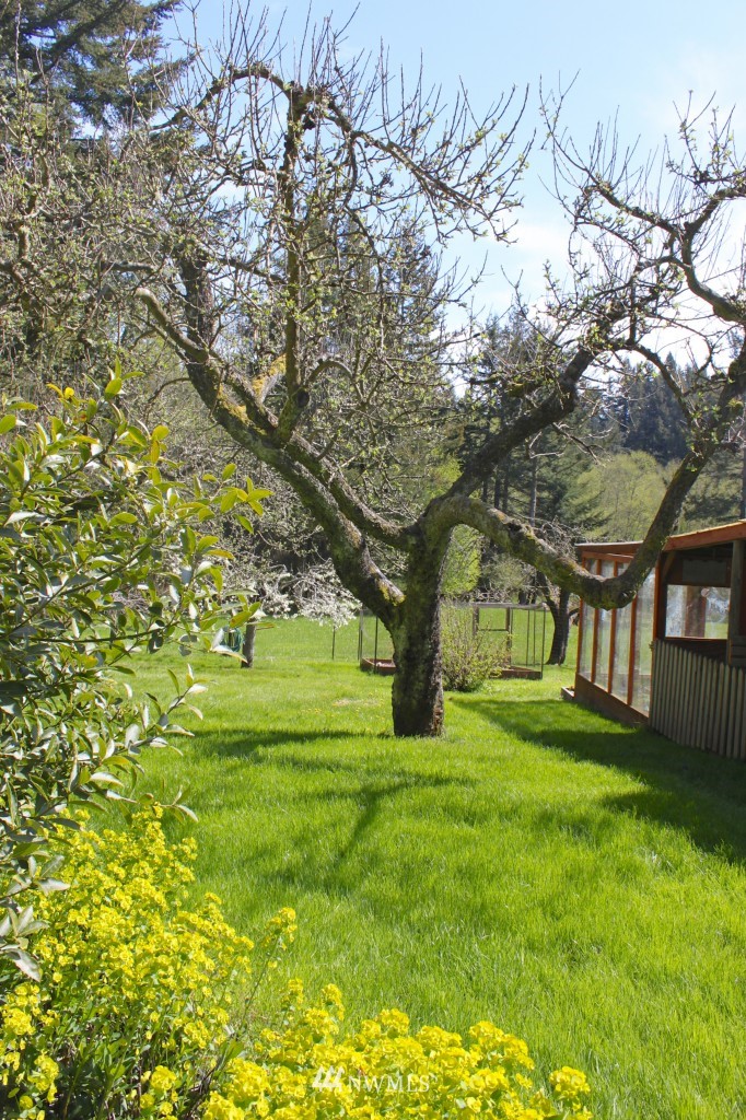 850 Point Lawrence Road Orcas Island, WA 98279 - Photo 16 of 24 Gallery Image 16