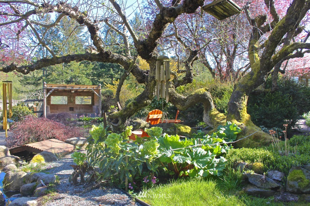 850 Point Lawrence Road Orcas Island, WA 98279 - Photo 4 of 24 Gallery Image 4