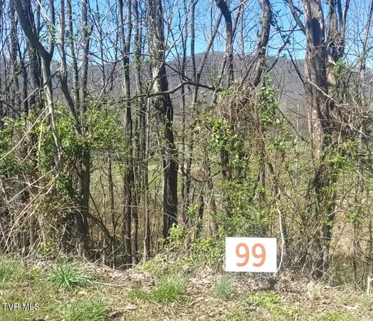 $34,900 | Lot 99 Country Club Drive, Unit 99, Unicoi, TN 37692