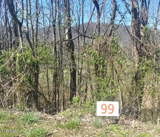 $34,900 | Lot 99 Country Club Drive, Unit 99, Unicoi, TN 37692