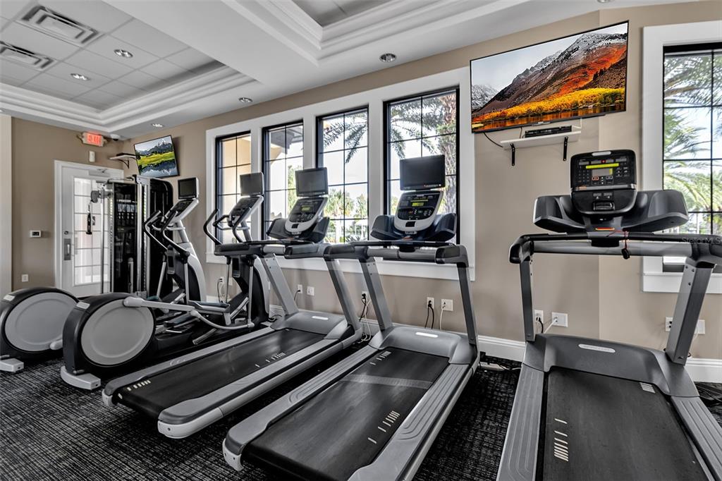 5434 Patano Loop Palmetto, FL 34221 - Photo 77 of 93