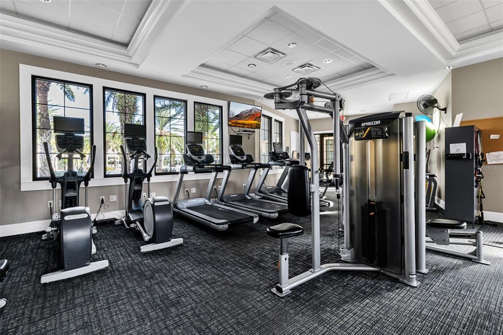 5434 Patano Loop Palmetto, FL 34221 - Photo 79 of 93