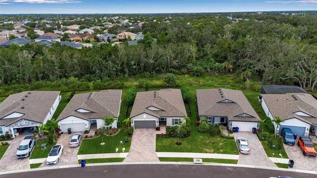 5434 Patano Loop Palmetto, FL 34221 - Photo 93 of 93 an aerial view of residential houses with outdoor space and trees