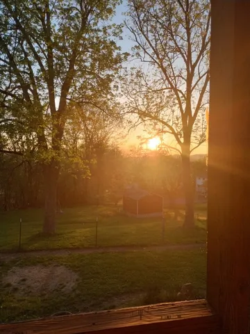 a yard with lots of green space and trees