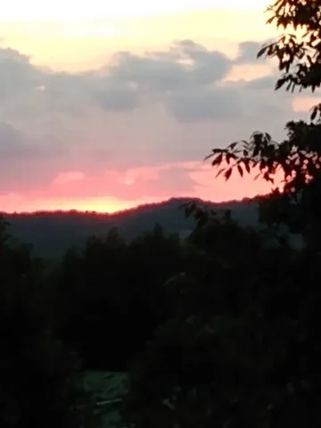 a view of a backyard with a small cabin and wooden fence