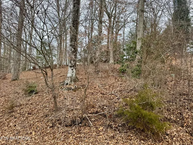 $39,000 | Madison Circle, Harrogate, TN 37752