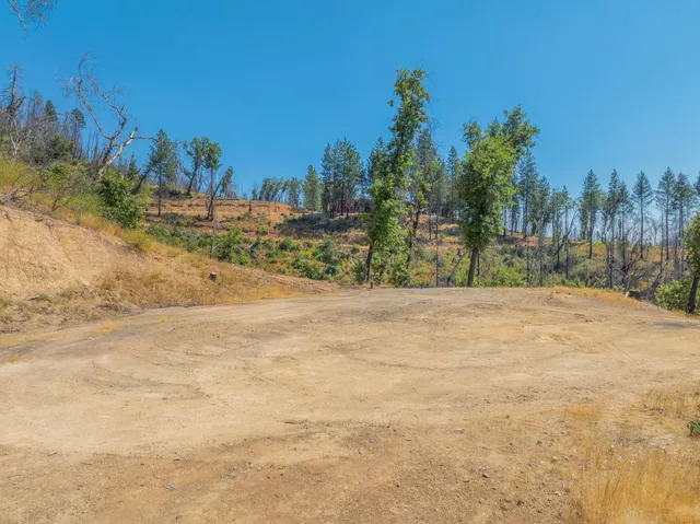 a view of large yard with large trees
