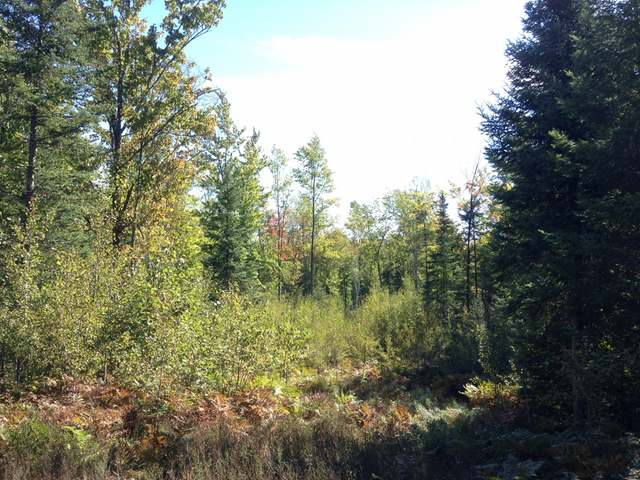 2990 North Pelican Lake Road Rhinelander, WI 54501 - Photo 10 of 18 Gallery Image 10