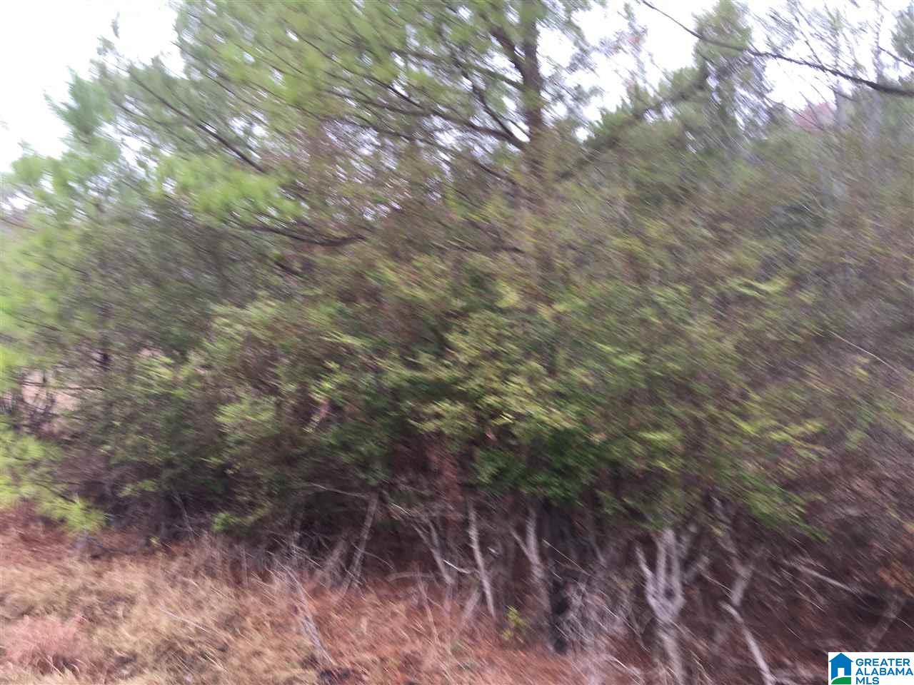 Old Choccolocco Road, Unit 97 Weaver, AL 36277 - Photo 26 of 27