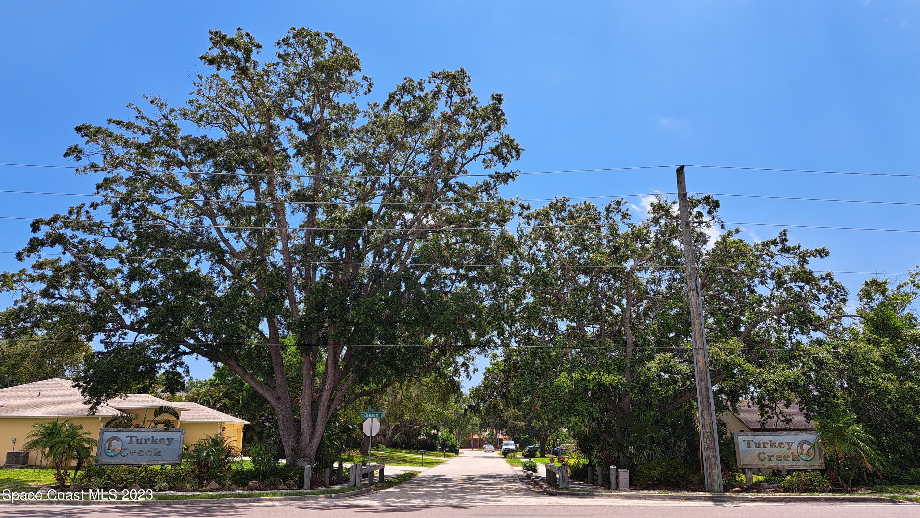 1083 Pineapple Avenue Northeast Palm Bay, FL 32905 - Photo 2 of 26 a picture of street view