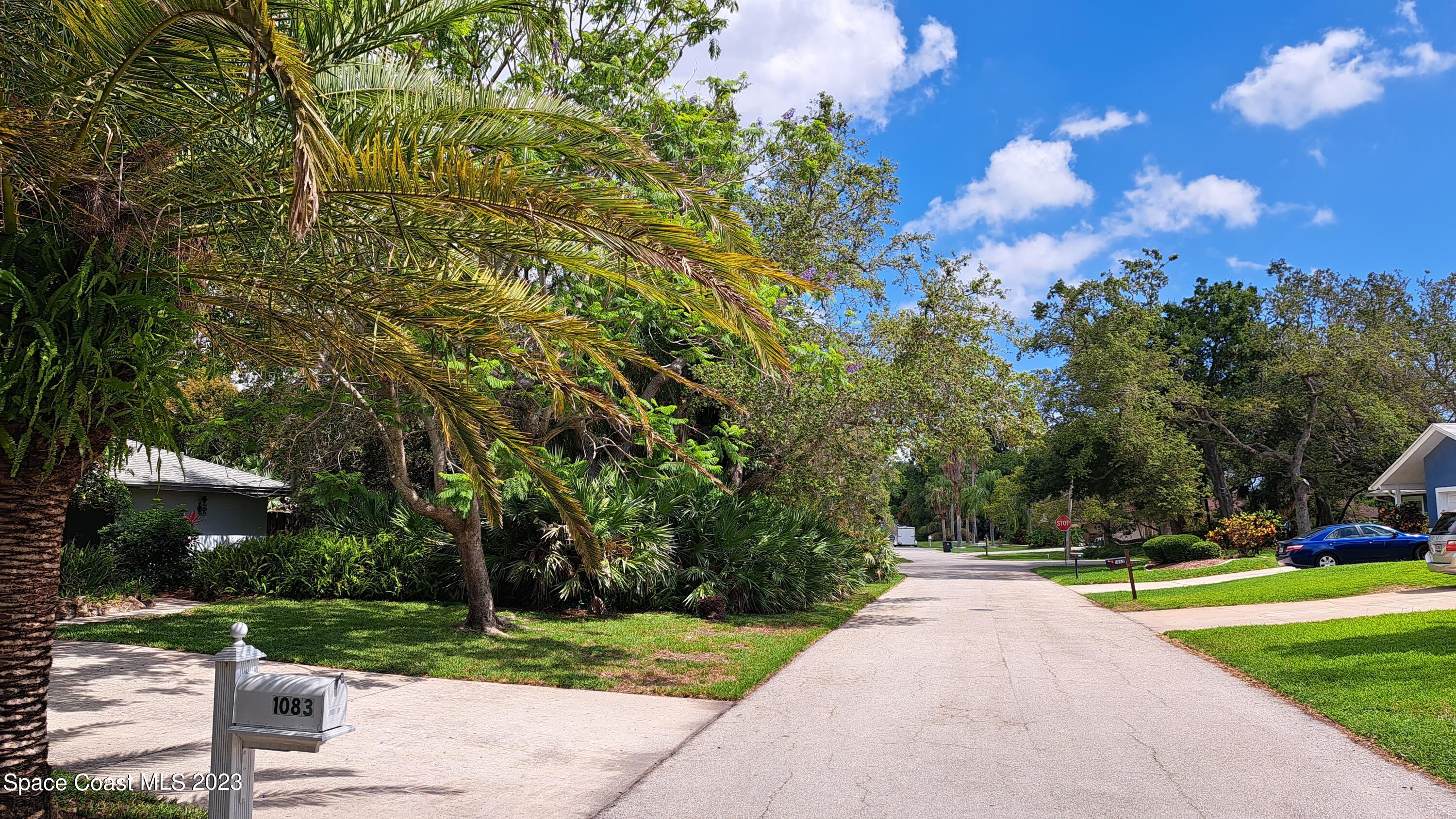 1083 Pineapple Avenue Northeast Palm Bay, FL 32905 - Photo 4 of 26 a view of a park with large trees