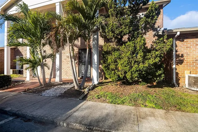 a view of a backyard with a tree