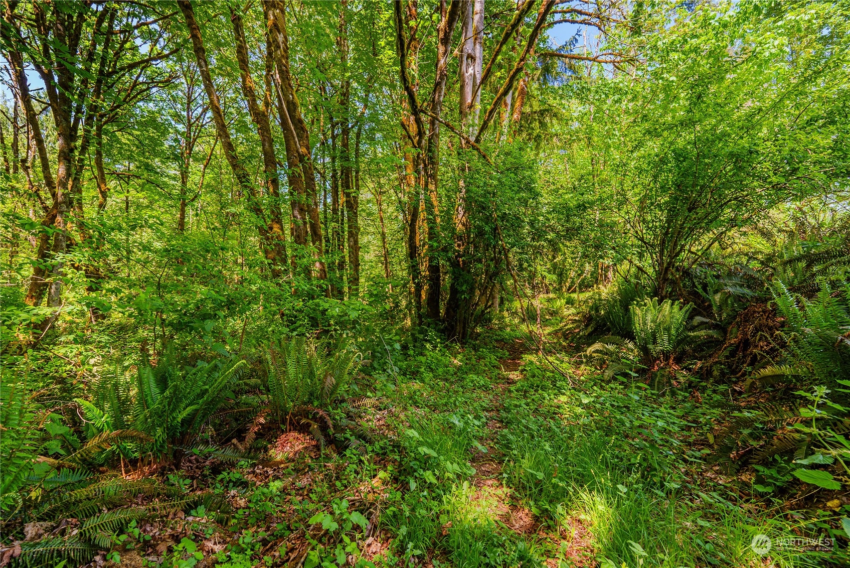 4130 Stohlton Road Southeast Port Orchard, WA 98366 - Photo 32 of 40 Gallery Image 32