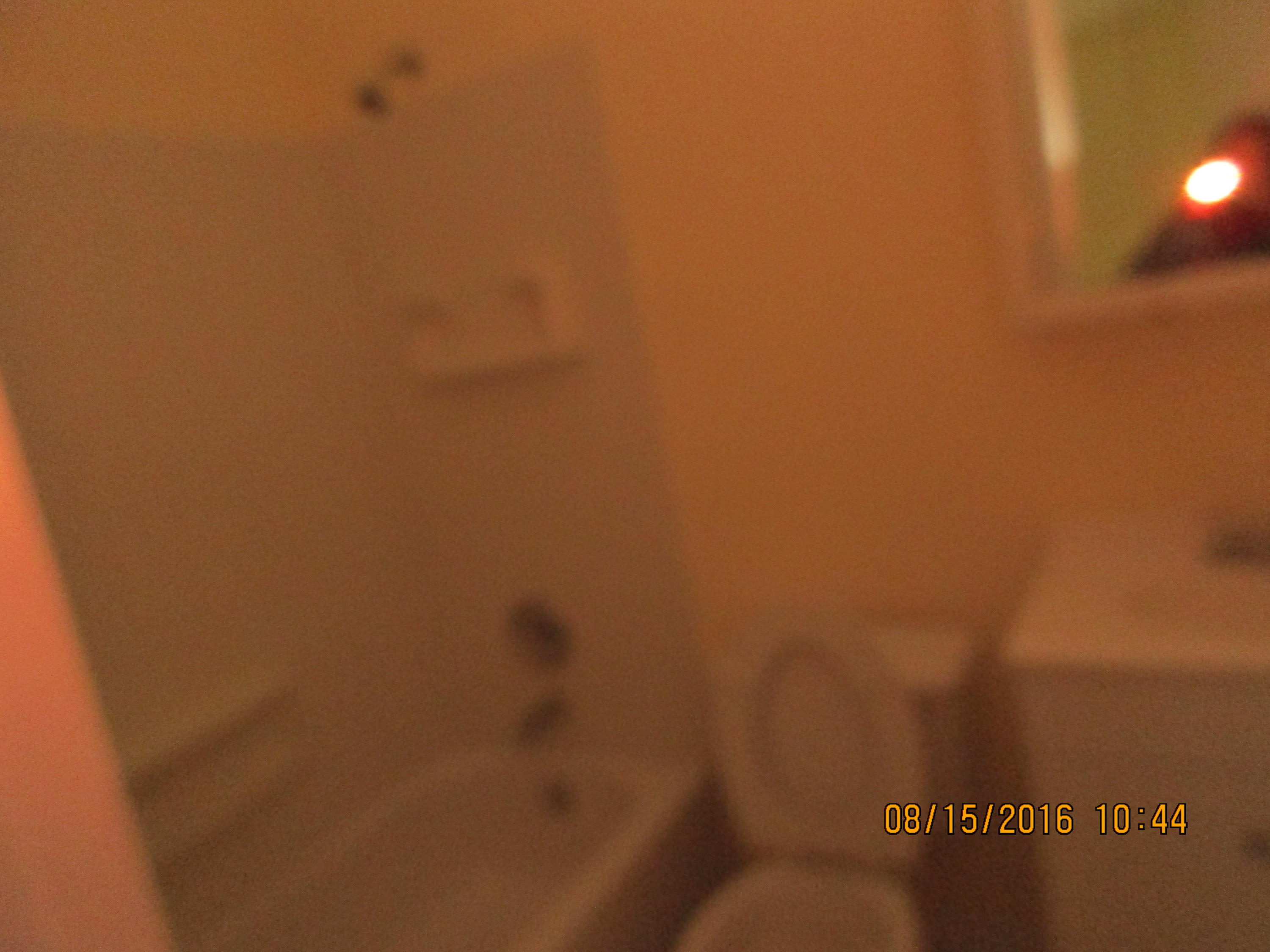720 Southwest Monsoon Road Port St. Lucie, FL 34953 - Photo 10 of 10 IMG_1086