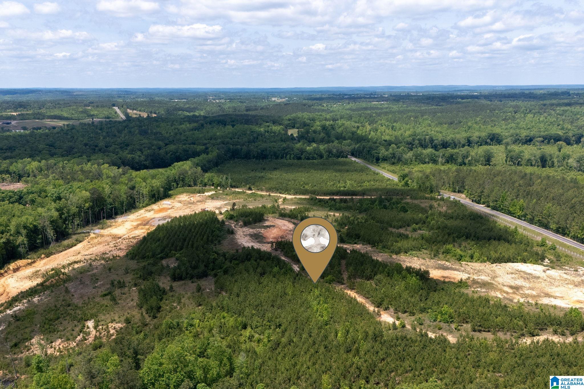 16 County Road Maplesville, AL 36750 - Photo 8 of 26
