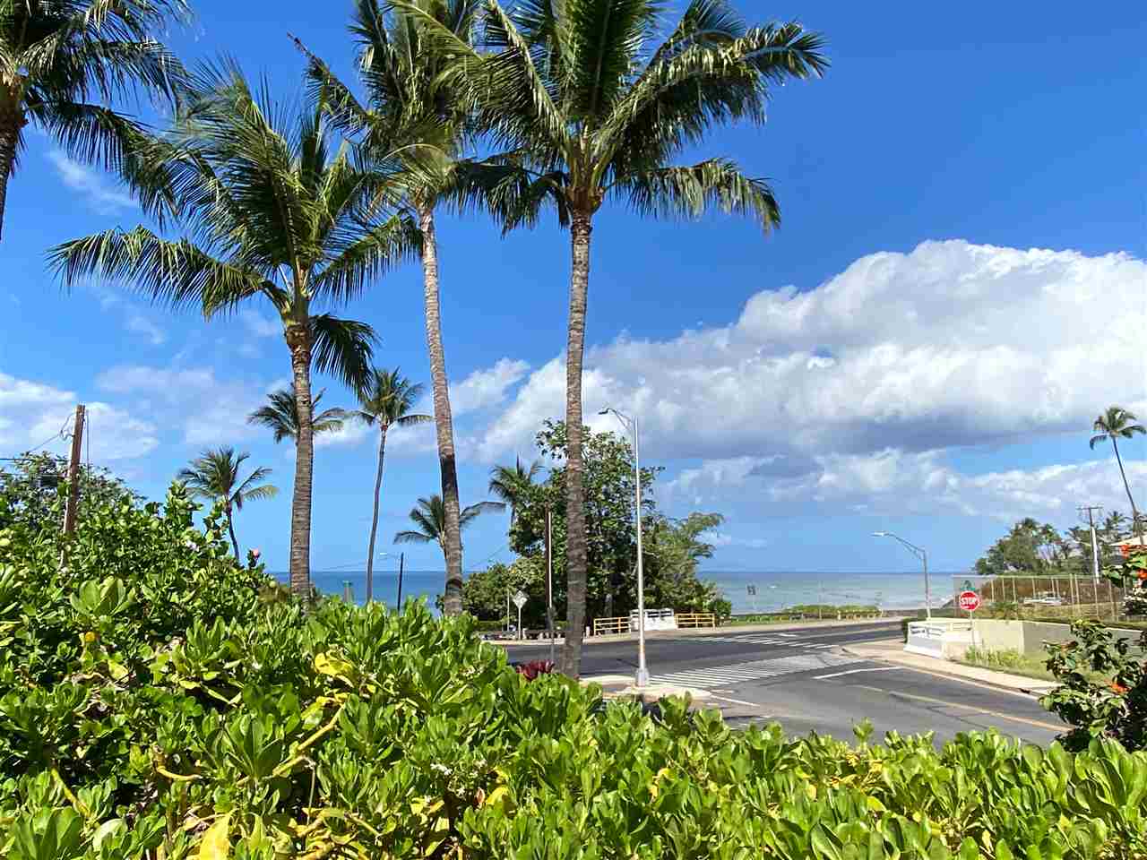 44 Kanani Road, Unit 2202 Kihei, HI 96753 - Photo 3 of 30 a view of a yard in front of the house