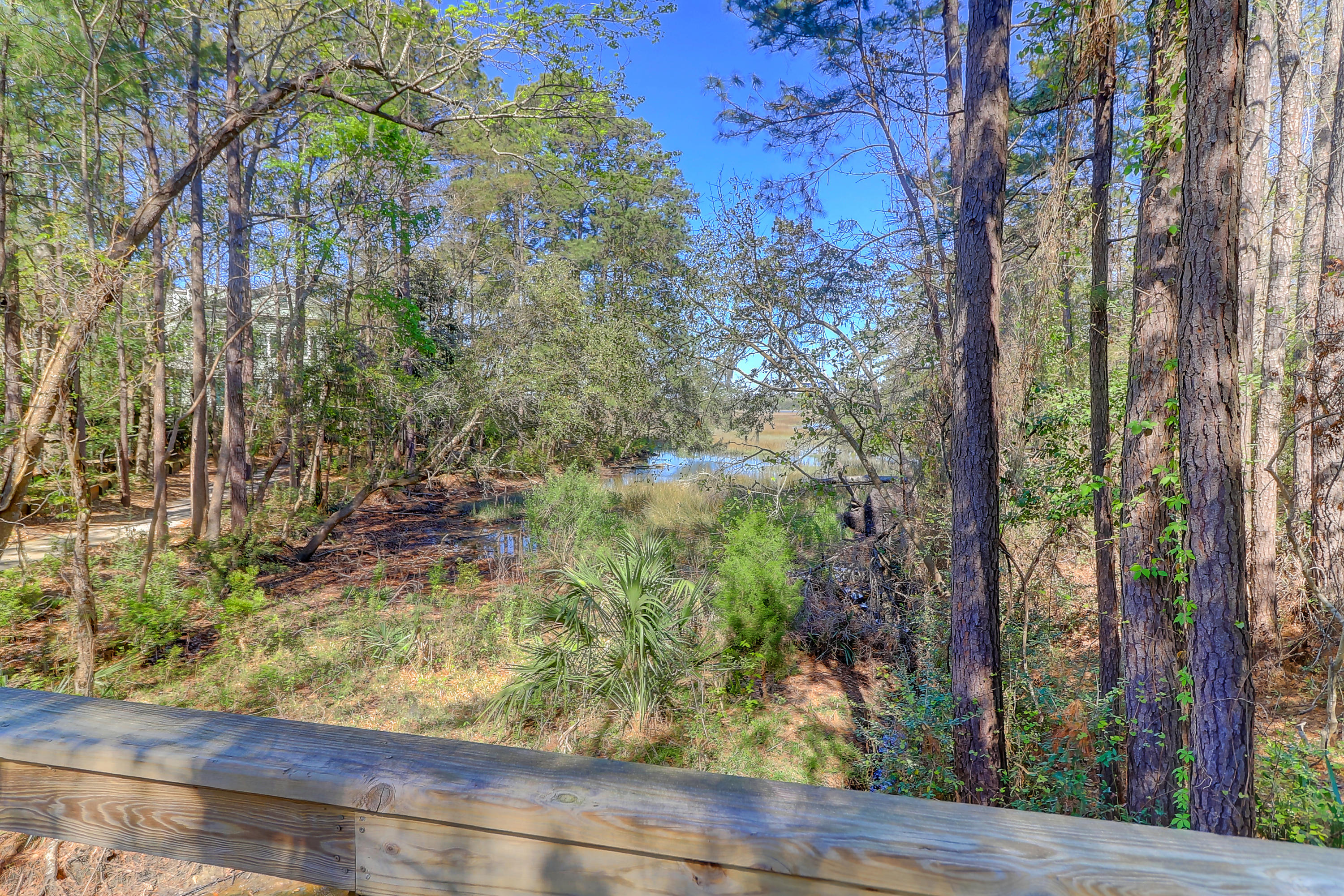 23 Isle Of Hope Road Mount Pleasant, SC 29464 - Photo 50 of 57 23 Isle of Hope (48)