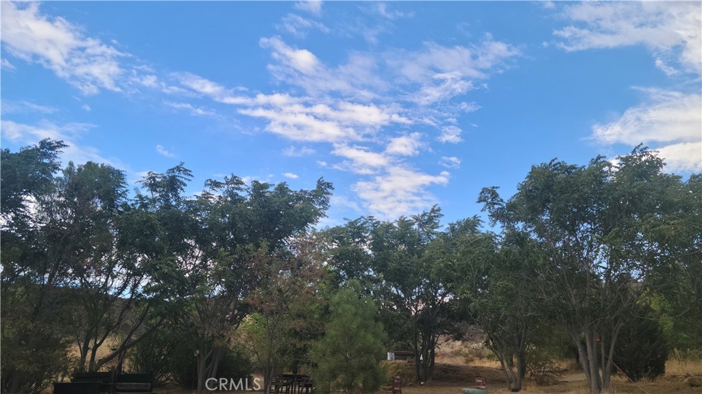 9301 Lost Valley Road Palmdale, CA 93551 - Photo 18 of 38