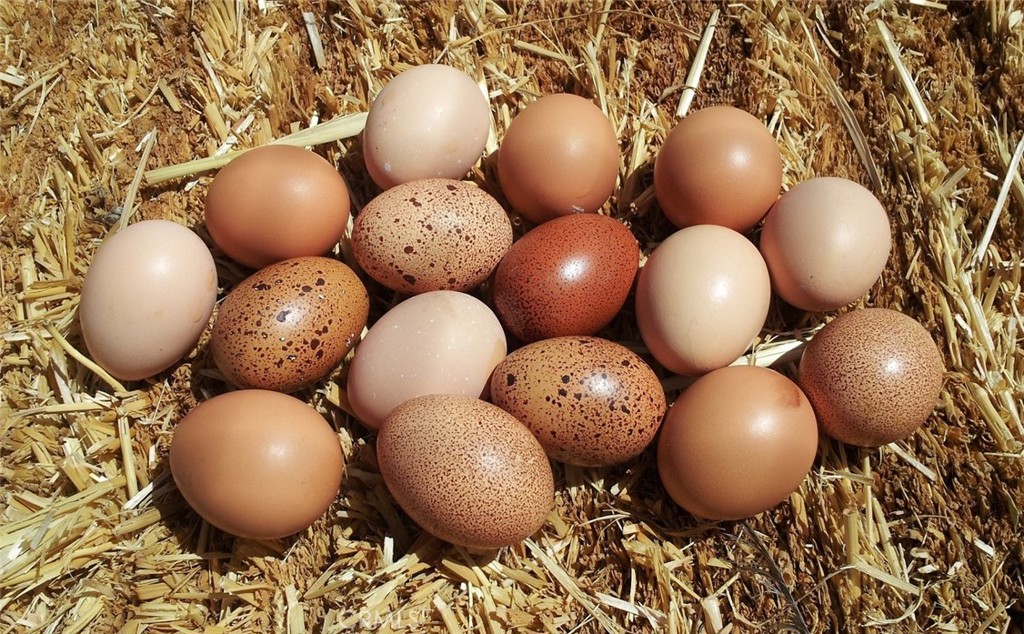 9301 Lost Valley Road Palmdale, CA 93551 - Photo 21 of 38