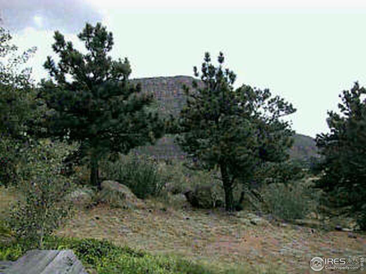 117 Apple Ridge Road Lyons, CO 80540 - Photo 5 of 11 a view of a dry yard with trees