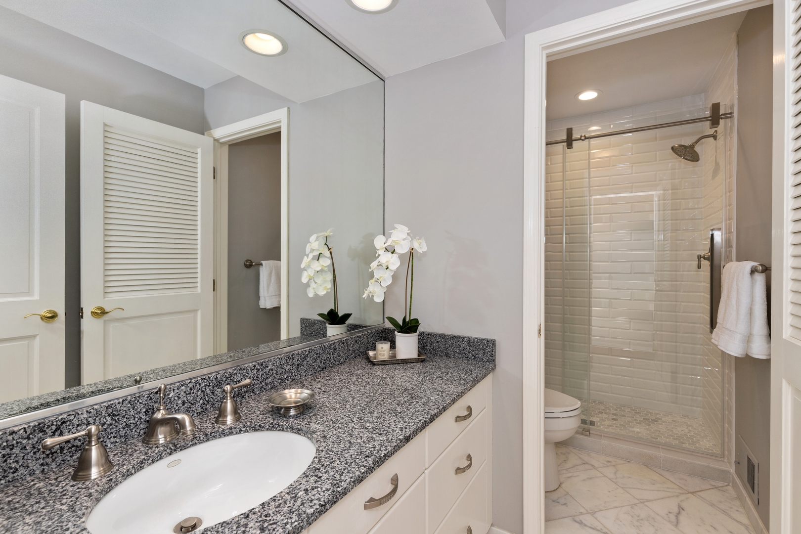 390 South Basswood Road Lake Forest, IL 60045 - Photo 15 of 38 a bathroom with a granite countertop sink a toilet and shower