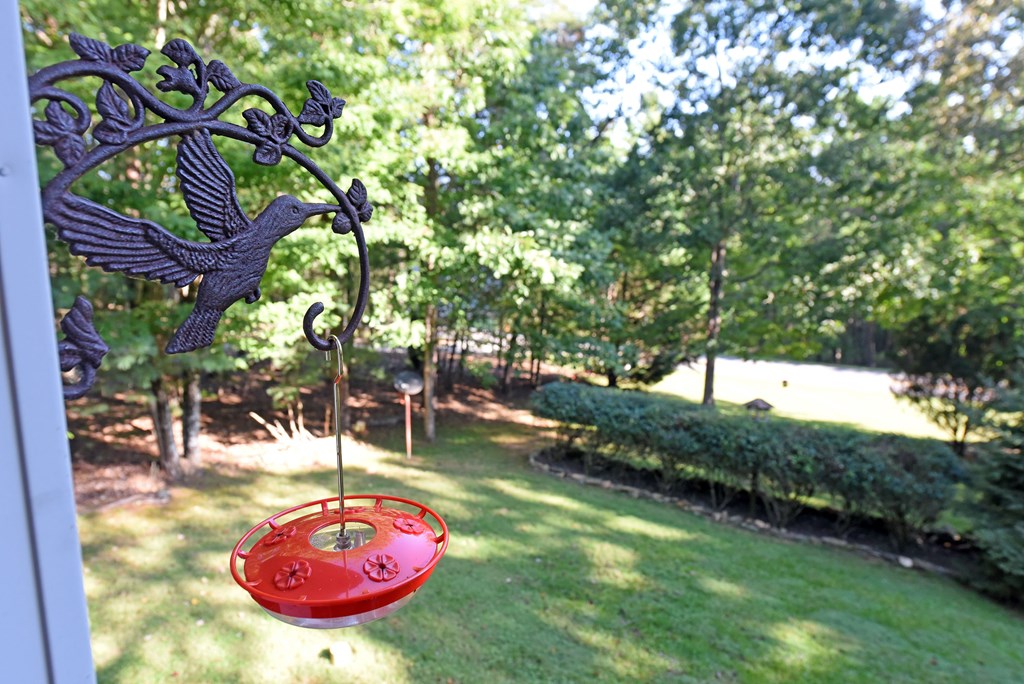31 Lance Crossing Road Blairsville, GA 30512 - Photo 32 of 52 a view of a swimming pool