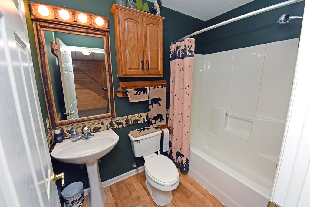 31 Lance Crossing Road Blairsville, GA 30512 - Photo 47 of 52 a bathroom with a sink toilet and shower