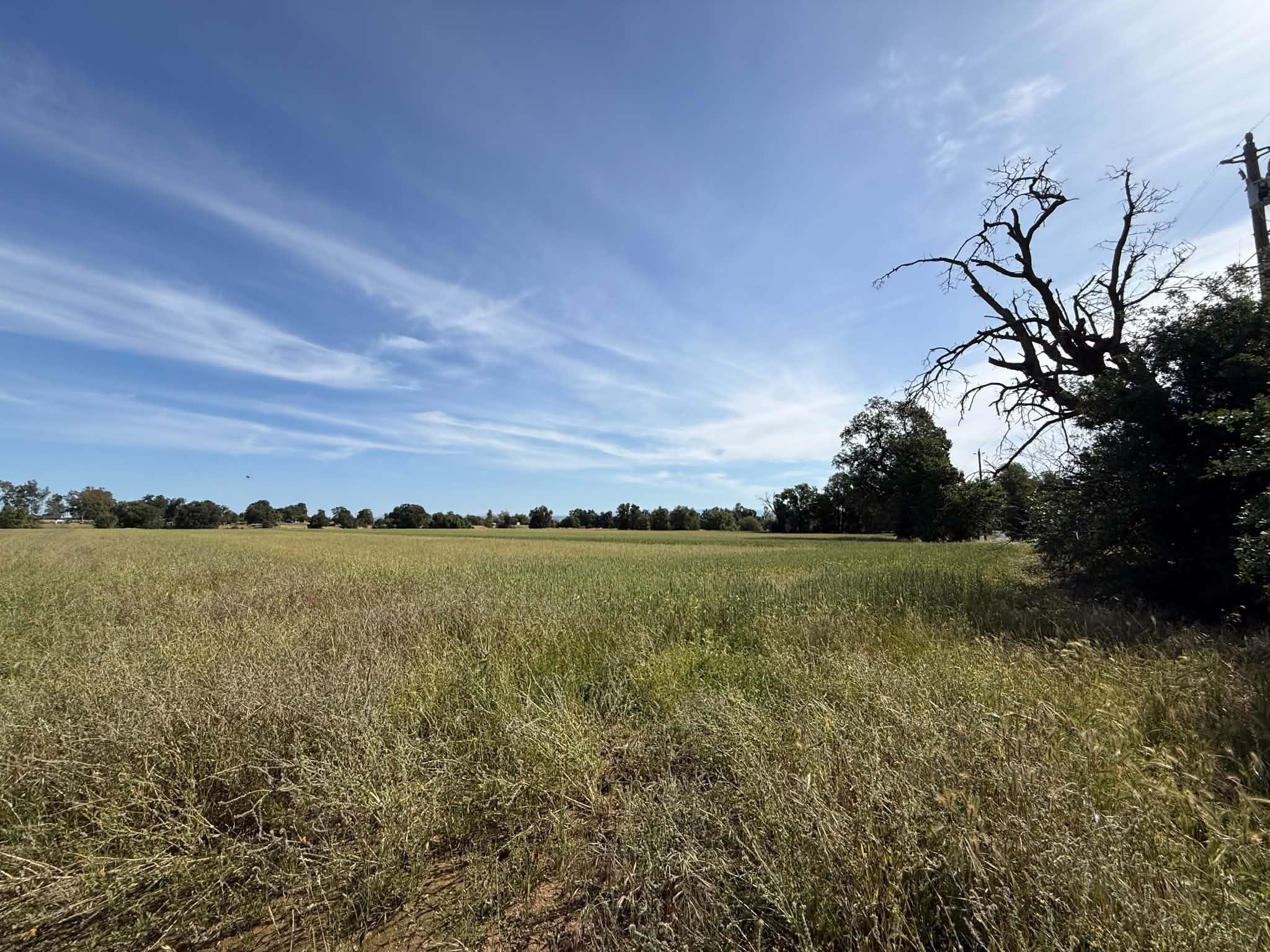 0 Hamilton Avenue Gerber, CA 96035 - Photo 2 of 6